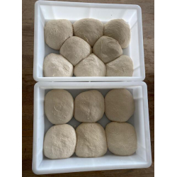 Hvekasse / dejkasse - 40 x 30 - UDEN LG