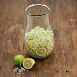 WECK patentglas - 250 cl, 10 cm